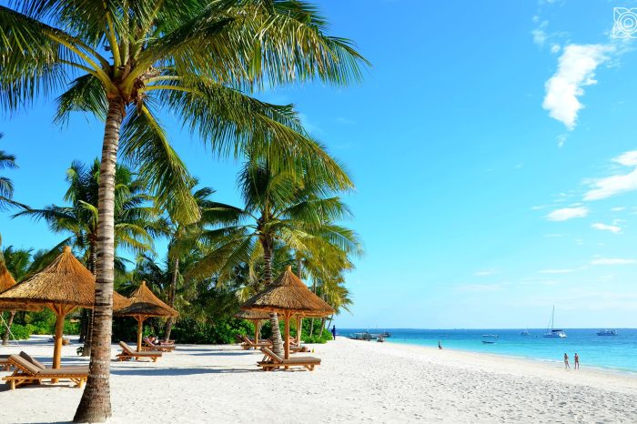 5 Days Tour Zanzibar