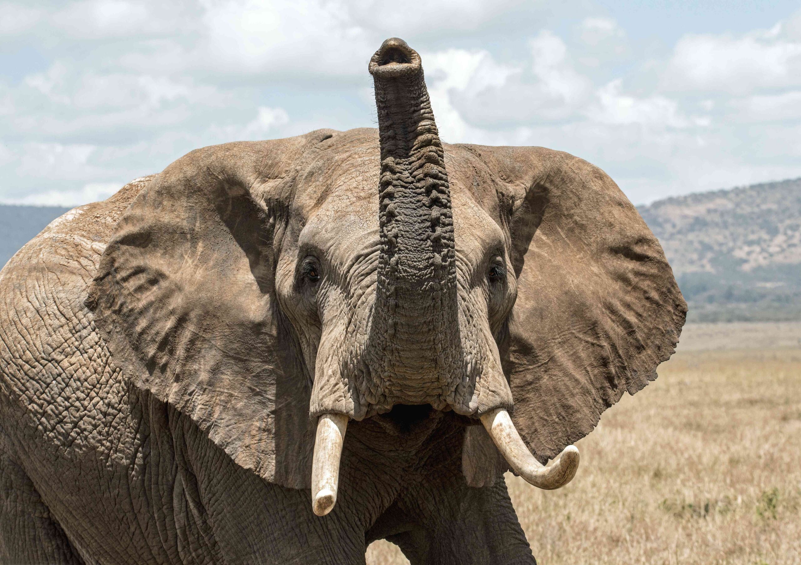 Amboseli